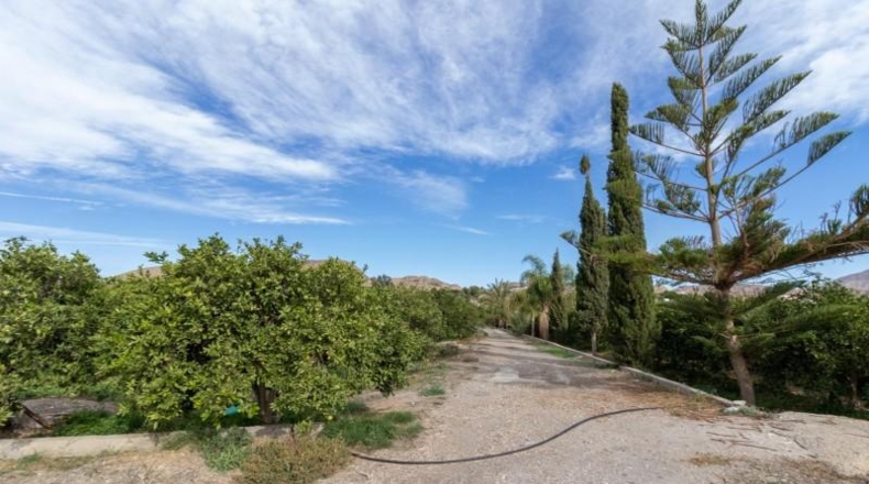Almería - Santa Fe de Mondújar - 15700m2