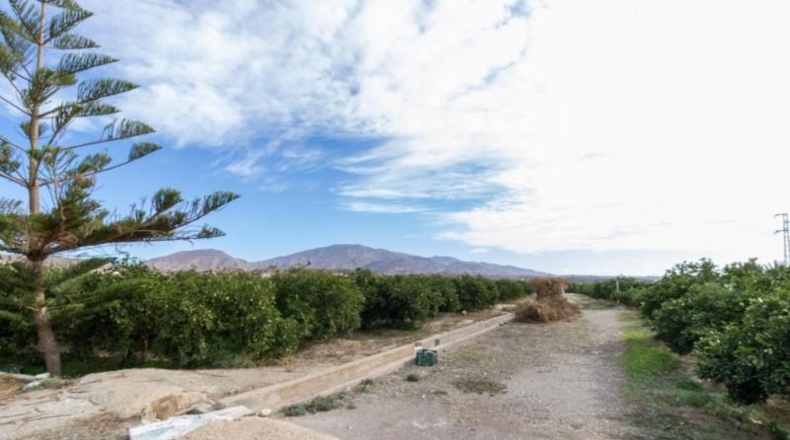 Almería - Santa Fe de Mondújar - 15700m2