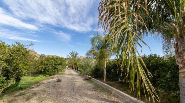 Almería - Santa Fe de Mondújar - 15700m2