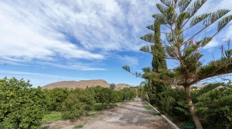 Almería - Santa Fe de Mondújar - 15700m2