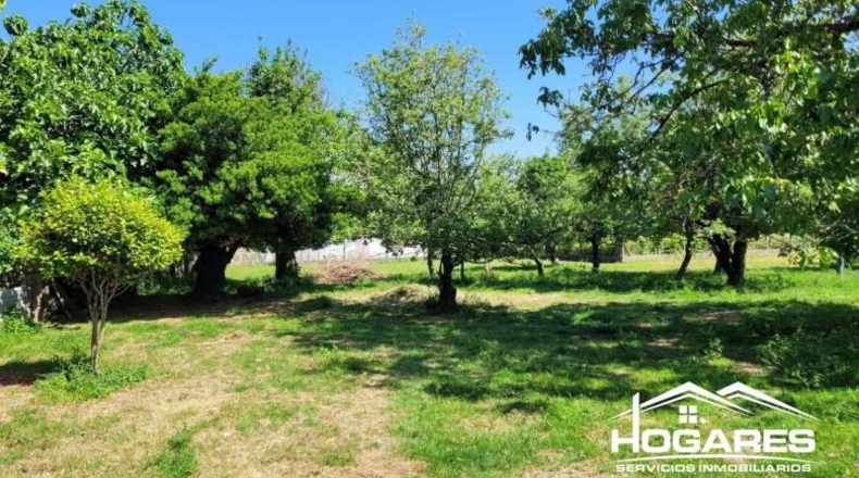Pontevedra - As Medas - 3200m2
