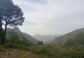 Casa de camp amb terreny en venda a la España, Xaló, ref.: TR358777 foto