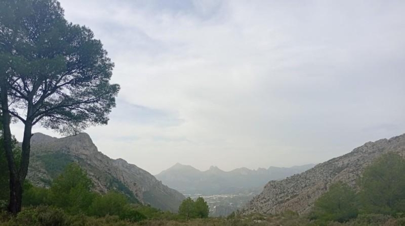 Alicante - Jalón - 3767m2