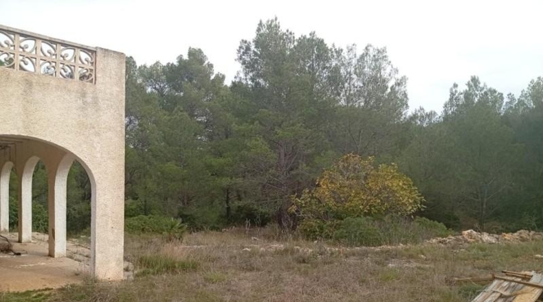 Alicante - Jalón - 3767m2