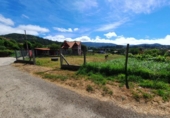 Non-developable land for sale on España, Gondomar, ref: TR113194 photo