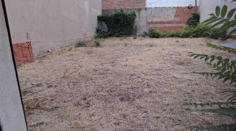 León - Almanza - 298m2