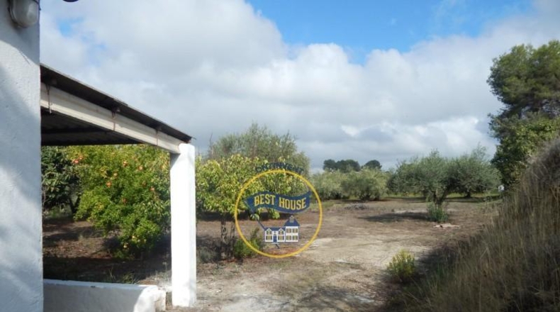 Valencia - Onteniente - 2630m2