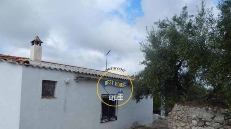 Valencia - Onteniente - 2630m2