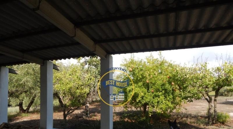 Valencia - Onteniente - 2630m2