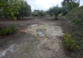 Detached villa with land for sale on España, Ontinyent, ref: TR348803 photo