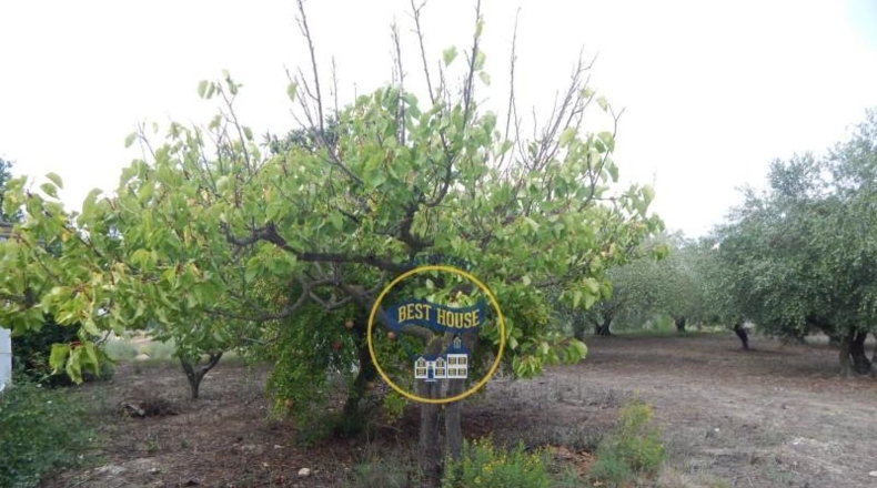 Valencia - Onteniente - 2630m2