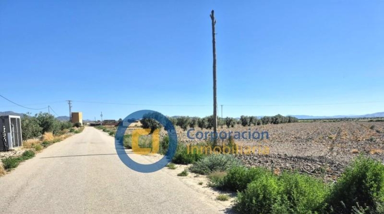 Murcia - Lorca - 28000m2