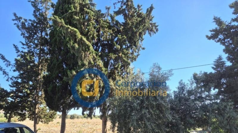 Murcia - Lorca - 28000m2