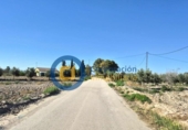 Casa de camp amb terreny en venda a la España, Lorca, ref.: TR246258 foto
