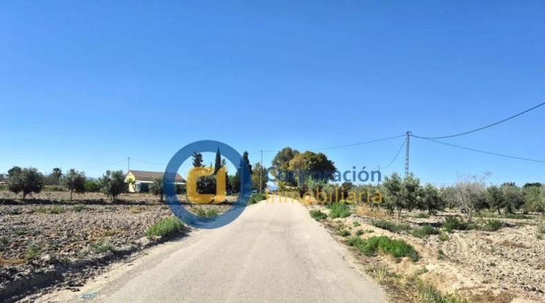 Murcia - Lorca - 28000m2