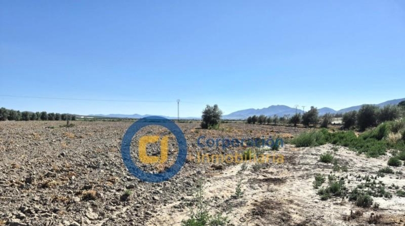 Murcia - Lorca - 28000m2