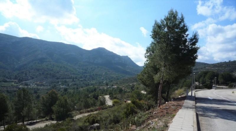 Alicante - Pedreguer - 707m2