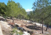 Sòl urbà en venda a la España, Pedreguer, ref.: TR112658 foto