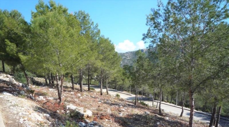 Alicante - Pedreguer - 707m2