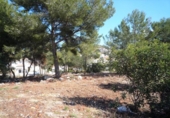 Sòl urbà en venda a la España, Pedreguer, ref.: TR112658 foto