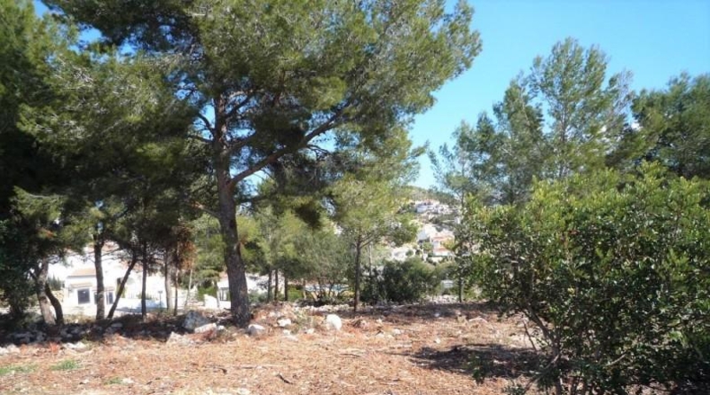 Alicante - Pedreguer - 707m2