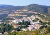 Sòl urbà en venda a la España, Pedreguer, ref.: TR112658 foto