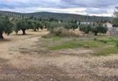 Terreny no urbanitzable en venda a la España, Bailén, ref.: TR112878 foto