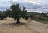 Terreny no urbanitzable en venda a la España, Bailén, ref.: TR112878 foto