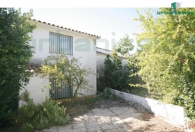 Aldeanueva de la Vera 20441&nbsp;m² 