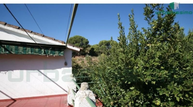 Cáceres - Aldeanueva de la Vera - 28500m2