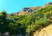 Non-developable land for sale on España, Otívar, ref: TR113217 photo