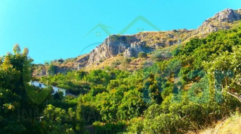 Granada - Otívar - 19000m2