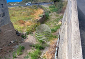 Terreny no urbanitzable en venda a la España, Icod de los Vinos, ref.: TR113563 foto