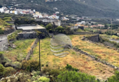 Terreny no urbanitzable en venda a la España, Icod de los Vinos, ref.: TR113563 foto