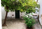 Xalet independent amb terreny en venda a la España, Ronda, ref.: TR295701 foto
