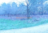 Non-developable land for sale on España, O Porriño, ref: TR113849 photo