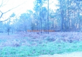 Non-developable land for sale on España, O Porriño, ref: TR113849 photo