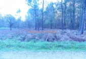 Non-developable land for sale on España, O Porriño, ref: TR113849 photo