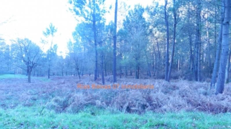 Pontevedra - Porriño - 3100m2