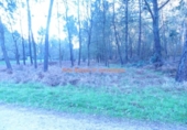 Non-developable land for sale on España, O Porriño, ref: TR113849 photo