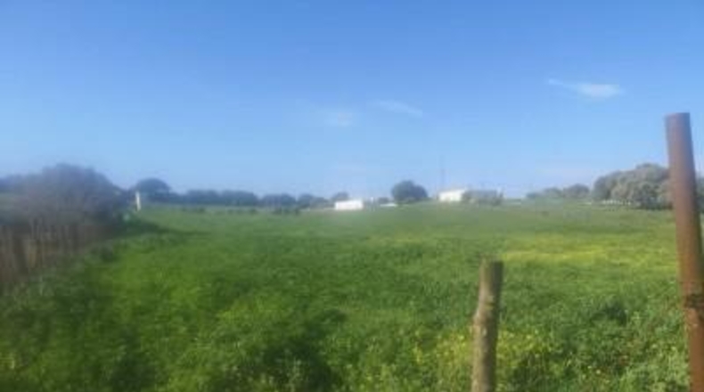 Cádiz - Vejer de la Frontera - 6300m2