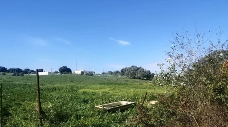 Cádiz - Vejer de la Frontera - 6300m2