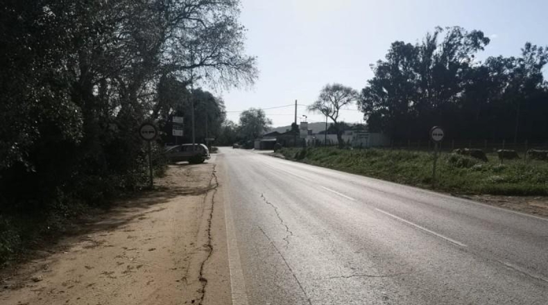 Cádiz - Vejer de la Frontera - 6300m2