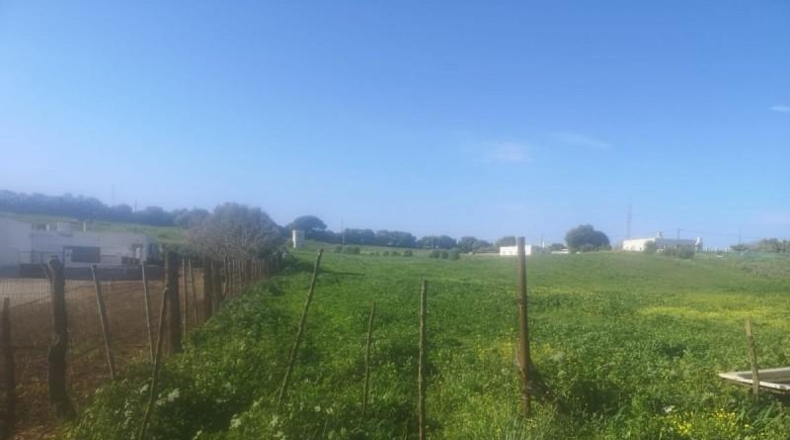 Cádiz - Vejer de la Frontera - 6300m2