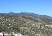 Casa de pueblo en venta en la España, Zahara, ref: TR295115 foto