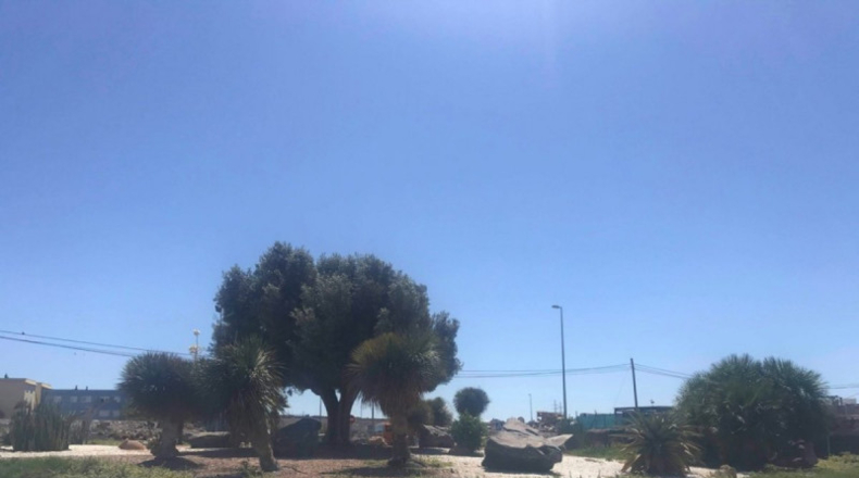 Las Palmas - San Bartolomé de Tirajana - 300m2