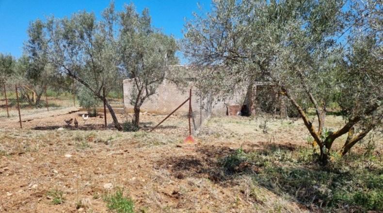 Málaga - Ronda - 16450m2