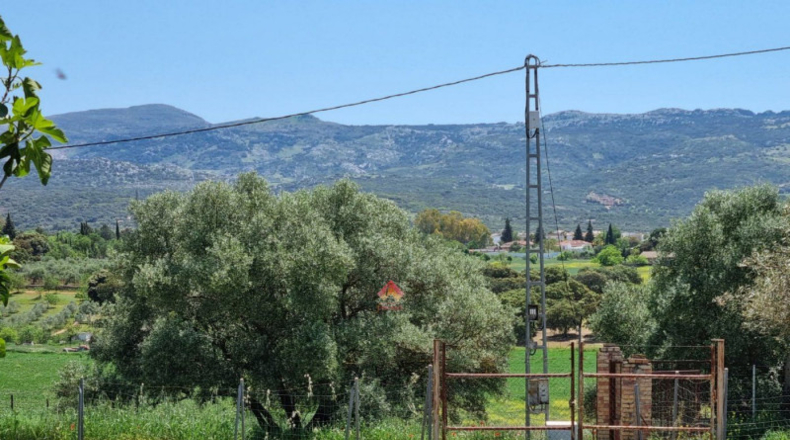 Málaga - Ronda - 16450m2