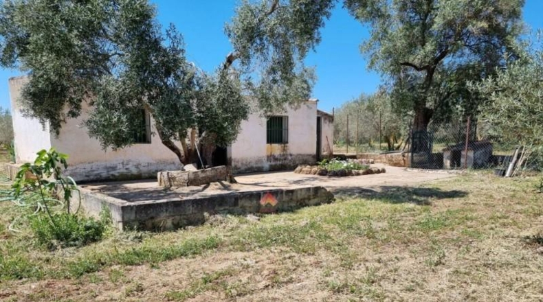 Málaga - Ronda - 16450m2