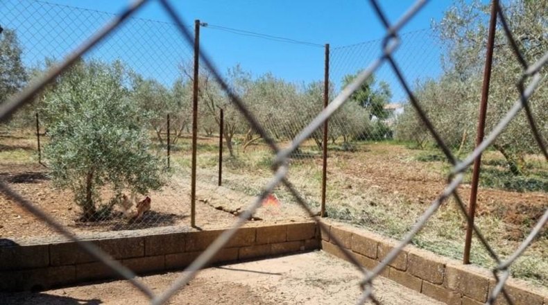 Málaga - Ronda - 16450m2